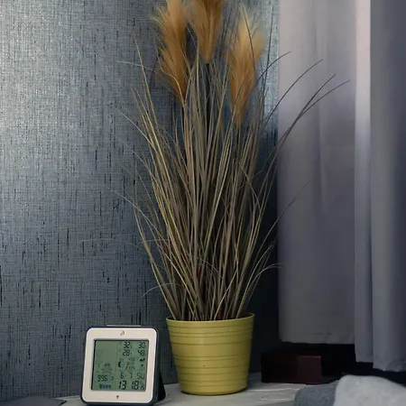 Captains Danube Houseboat - Apartment Bratislava